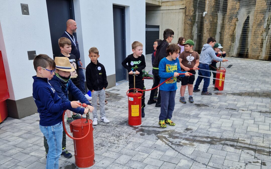 Spannende Sommerferienkurse an der Junior Uni Daun: Bildung in bunter Vielfalt!